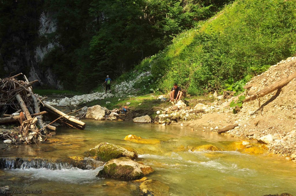 In apa rece a Dambovitei Rucar